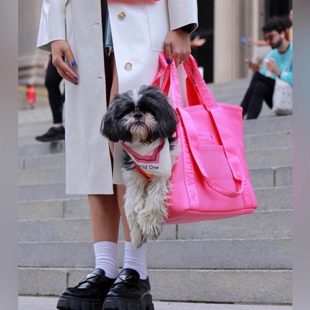 **SOLD OUT** NWT Isaac Mizrahi 💗🧡💗 Wild One Everyday Pet Carrier Dog Tote